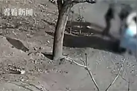 拿不出50万彩礼女友被拖走？当事女子：50万彩礼是吵架时说的气话图片