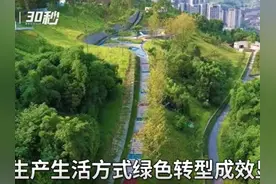 30秒 | 重庆：拟定出2025年生态环境指标视频封面