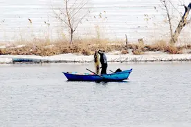 哈尔滨春暖冰融 松花江出现捕鱼人图片