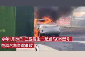 威马汽车出现多起自燃事故！公司称“车没问题”遭车主质疑，曾有车主吐槽其续航比“老头乐”还惨图片