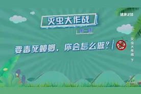 家庭必备灭虫技巧！精准对付蟑螂、蚊子、蛀虫图片