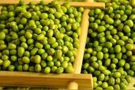 春日煮粥加点它，寒气、病气都赶跑！还能养胃补肾，千万别错过图片