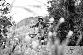 二十四节气中的科技与文化遗产图片