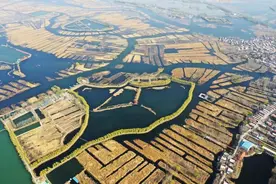 5年，雄安给京津冀世界级城市群带来了什么？| 新京智库图片