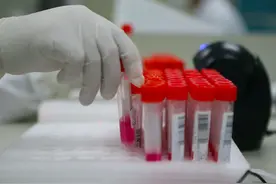 河北石家庄昨日新增10例新冠阳性感染者图片