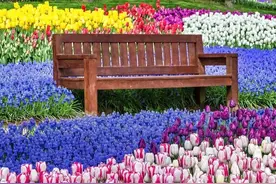 【人文旅游】土耳其伊斯坦布尔：春天的足迹图片