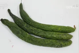 冰箱保鲜层您用对了吗？这几样东西不要放进去图片