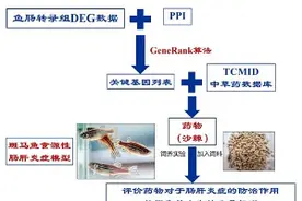鱼宝宝犯了肠肝炎症长不大，他们在沙漠里找到了这项疗法图片