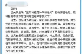 市民反映昆明绿化植物有葱花味？官方：是韭菜味，可食用……图片