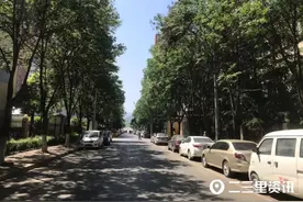 黏糊糊特别难清理，栾树上滴下的“黏液”是个啥？图片