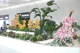 打造主题景观、增设拍照休憩观景区 重庆江北机场提档升级图片