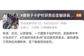 “傻狍子”社死现场“装死”，被网友送上热搜！“傻狍子”真的傻吗……图片