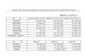 为解决与控股股东关联企业同业竞争问题 华映科技拟以不低于3.3亿元挂牌出让重要子公司图片