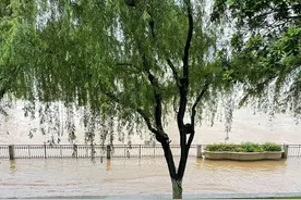 洪峰过境长沙！还能去橘子洲玩吗？图片