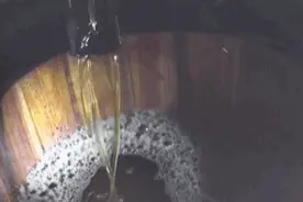 山茶油，真的不简单图片