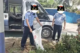 海南人注意，又是这个大家伙！发现时已吃下一鸡一鹅……图片