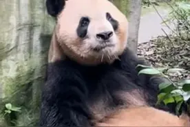 城市24小时｜全国唯一，这座浙江小县为何如此重要图片