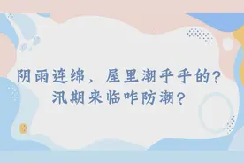 阴雨连绵，屋里潮乎乎的？汛期来临咋防潮？图片