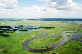 古代中国随处可见的大象、犀牛、扬子鳄，为何消失了？图片