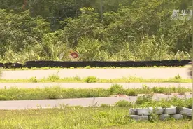 2022年伟业达GP粤港澳大湾区摩托车大赛在广东恩平举行图片