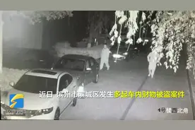 涉案6万多元！团伙多次深夜拉车门盗窃财物终被抓图片