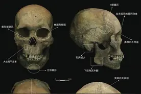 以骨释人，寻骨觅踪：2021年人类骨骼考古盘点图片