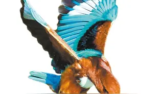 三大古湖云影湖光 数十新湖各领风骚图片