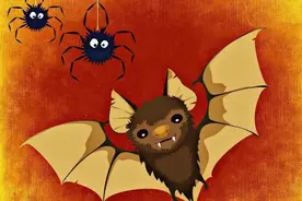 蝙蝠入户，消防教你如何驱赶！图片