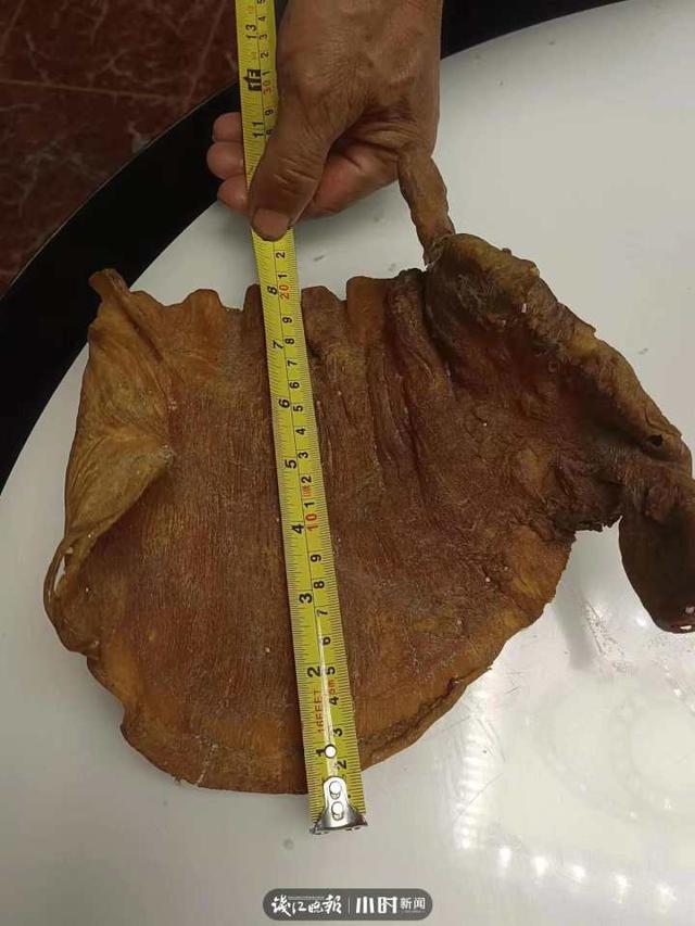 广东哪里有晒花胶 2026年广东哪里有晒花胶卖