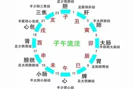 中医十二时辰养生法，顺应自然，事半功倍图片