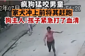 疯狗扑咬幼童，家犬冲上前将其赶跑，犬主：养了7年很有灵性图片