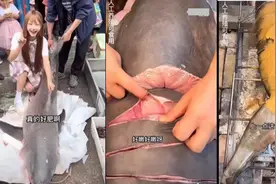 网红博主烹食大白鲨，吃播行业为何乱象频出？图片