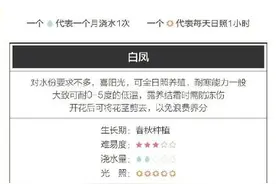 收藏！26种超好养的多肉宝宝图片