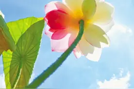 照顾好你牵挂的人图片