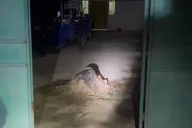 危险！煤气罐突然着火，惊吓之余居然用土埋…图片