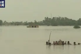 巴基斯坦洪灾救援持续 数百人乘军方直升机撤离灾区图片