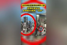 台媒：台北地铁现首例松鼠伤人案，宠物松鼠钻进女乘客长裤内“狂咬”图片