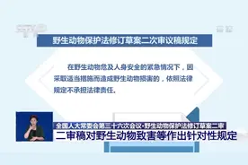 野生动物保护法修订草案二审 对野生动物致害等作出针对性规定图片
