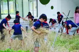 开学季｜小学生把自种小麦做成“花式馒头”图片