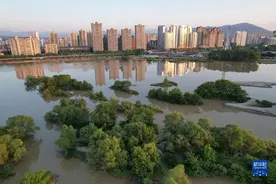 新华全媒+丨保护水源 绿色发展——南水北调汉江水源地掠影图片