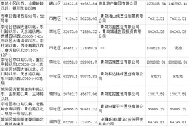 青岛第三批集中供地：30宗地收金164亿元，崂山地块“触顶”成交图片