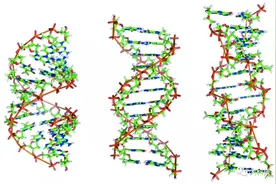 形形色色的DNA图片