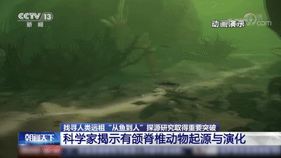 探源研究取得重要突破！我国科研团队证实人类是从鱼进化来的图片