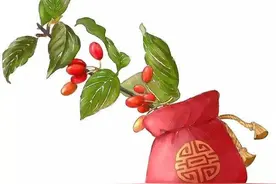 古人何时开始偏爱茱萸图片