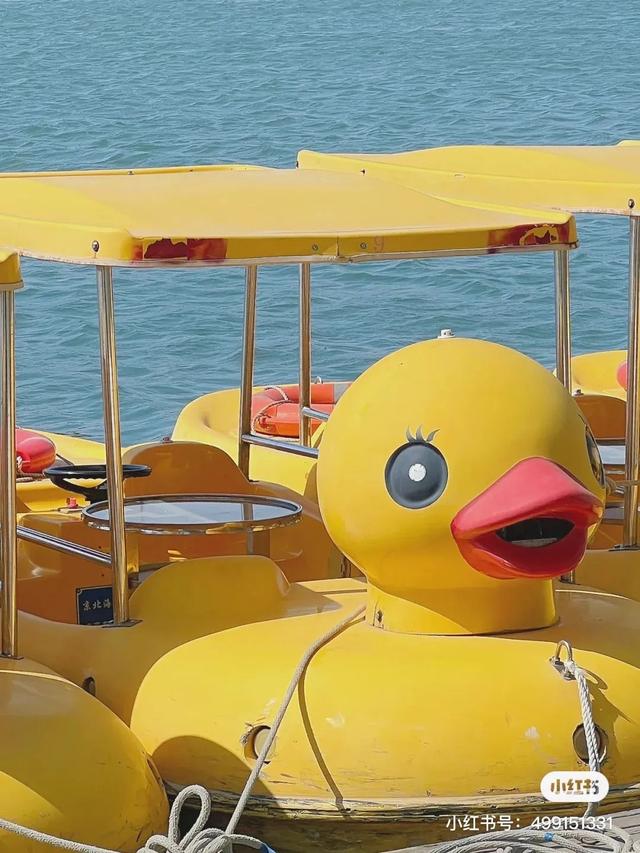 OMG��Ů�����ǵļ��ھŹ���¶Ӫ����