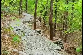 人生随心而动，生活顺其自然，不强求，让自己开心快乐就好图片