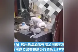 轻食店后厨宠物狗舔食外卖遭处罚，不仅是罚太轻的问题图片