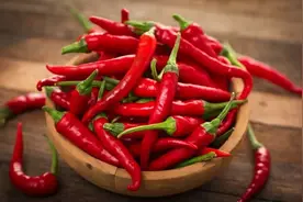 辣虽好吃，可不能贪多哦……图片