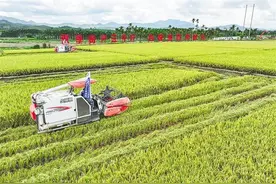 见证三亚十年之变图片