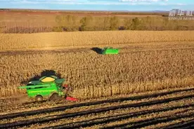 新华全媒+丨黑龙江：玉米丰收绘就金色图景图片